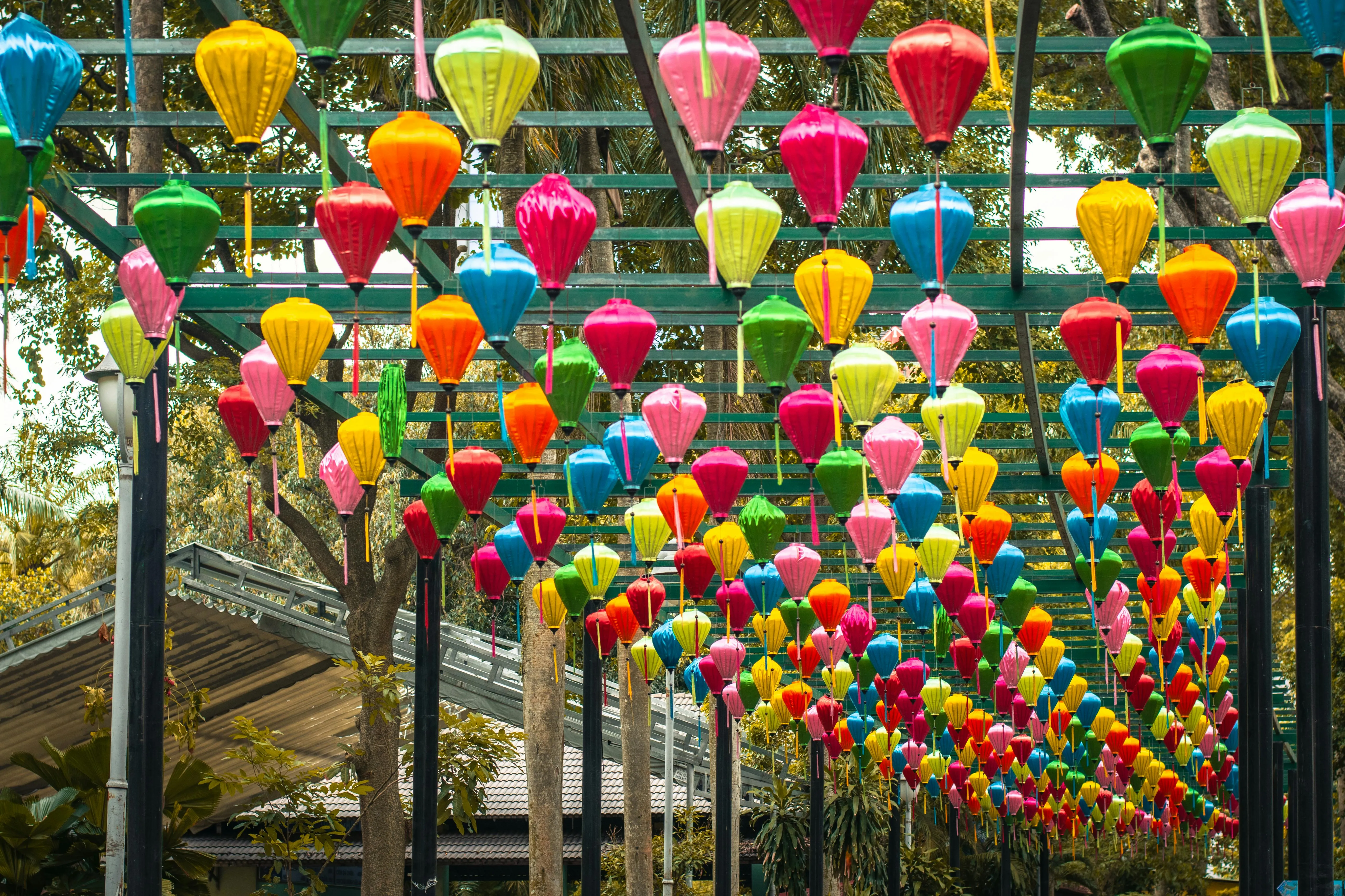 Cultural Event Showcase 6